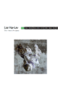 Mobile Screenshot of liorharlev.info